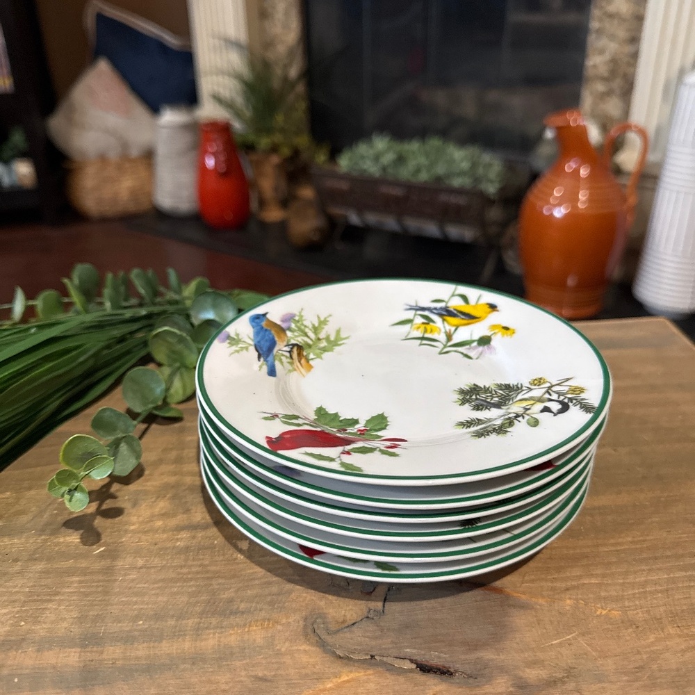 6 National Wildlife Federation Bread Butter Plates White Colorful Birds 6"